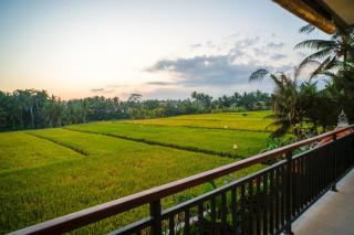 Padivana Villa - Ubud - 8