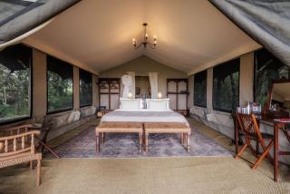 Elephant Pepper Camp - 4