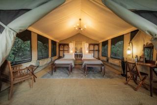 Elephant Pepper Camp - 3
