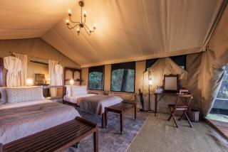 Elephant Pepper Camp - 5