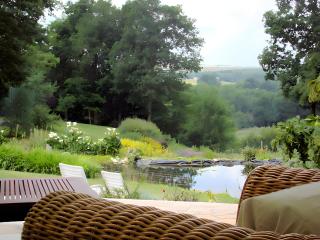 La Bruyère-Maison d'hôtes-Piscine - 6