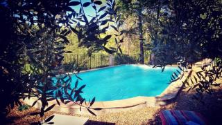 Le Figuier appart 2-3 pers en plein vignoble avec piscine privée à 30mn des gorgesdu Verdon et des plages - 0