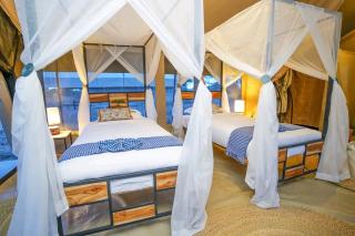 Royal Horizon Adventure - 3