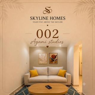 Skyline Homes-Agami Studios - 0