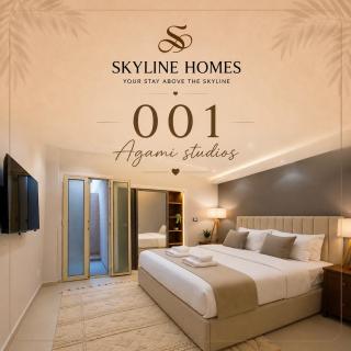Skyline Homes-Agami Studios - 9