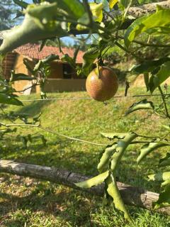 Cinnamon Leaf Leisure Resort Baduraliya, kalutara - 5