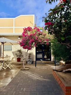 Le Mimose Escape - Swakopmund Namibia - 8