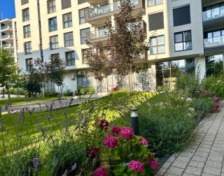 Bel Dom - The Central, spacious 2 rooms luxury apartment - 8