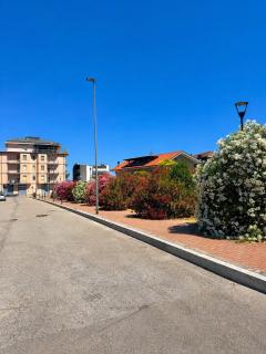 Camelia house - 2