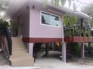 Elevated Bungalow House 3-11 - 1
