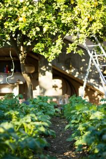 Arcobaleno B&B - San Benedetto del Tronto - 2