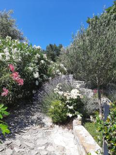 Kuća za odmor Stina, Kučiće - 1