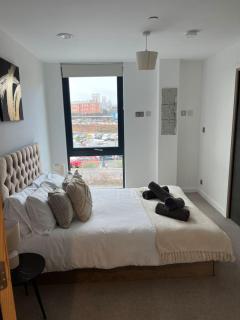Superb Modern Central Flat with Free parking, Gym and Minster views - 5