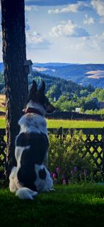Ferienhaus VILLA ZAUBERBLICK am Rennsteig Frankenwald FREISTEHEND naturnah HUNDEFREUNDLICH eingezäunt - 1