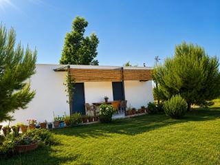 The Pine House - 9