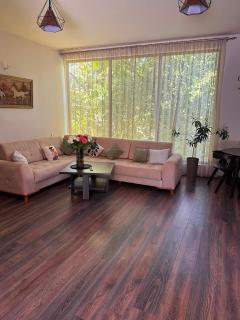 Golden Hills Villa - 0