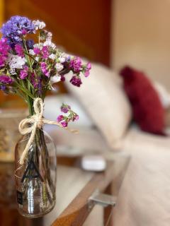 Casa Paqocha Urubamba - Hotel & Garden - Shared Kitchen & Hot Water - 2