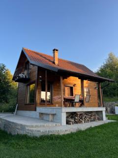 Vila Vlasinski mir - 3