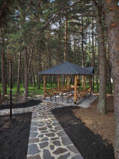 Pinea Resort - 1