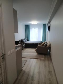 City Center Apartment near the Port - 5