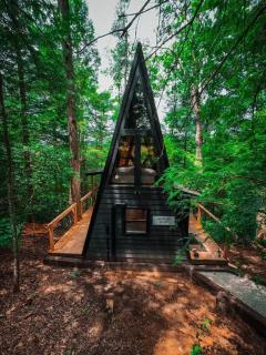 Wolf Pup- A Frame- Hillside Tiny Cottage Wi-Fi - 0