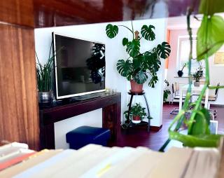 Lanas place - 7