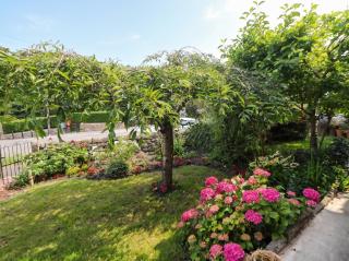 Cherry Tree Cottage - 4
