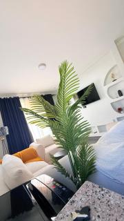 ALICE APARTMENT BUZIGa - 7
