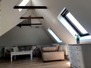 Elbblick-grosse-Loftwohnung-mit-Terasse-Sauna-und-Kamin - 9