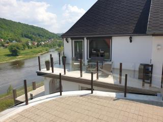 Elbblick-grosse-Loftwohnung-mit-Terasse-Sauna-und-Kamin - 7