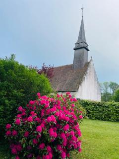 Juste le bruit des fleurs - 9