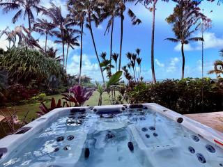 Utopia Beach Front Estate - 7