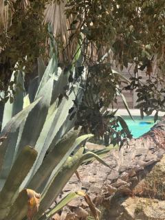 Le Chai de l'Océan - Villa Soulacaise plage à 100m Piscine Jardin 1400m2 - 8
