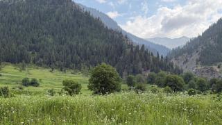 Serene Stay Cottages Gurez Valley - 0
