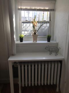 City Garden Studio Next to Beacon Hill and Back Bay - 3