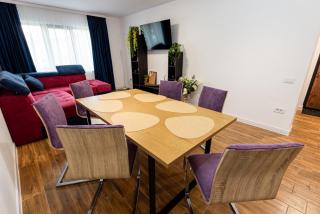 DSD Central Apartment Gura Humorului - 3