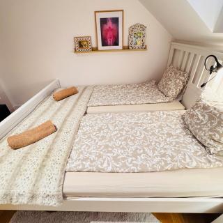 Boho Holistic House - forest, yoga massage - 2