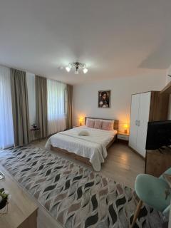 Casa Bocan - 8