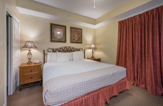 Disney dreams apartment Amazing lake views - 6