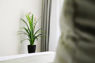 Luxury Midrand Apartment with Home Office and WiFi - 5