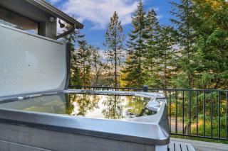 Eagles Nest River View Dome Hot Tub & Swim Pond - 5