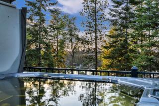 Eagles Nest River View Dome Hot Tub & Swim Pond - 5