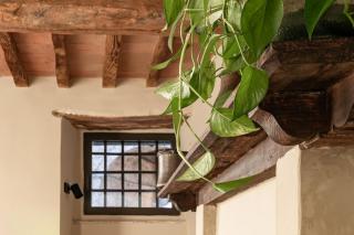 LENTo PEDe, Eco-Friendly Retreat - 1