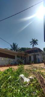 Dolphin beach - 6