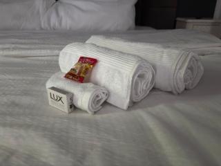 Hotel Zur Krone - 9