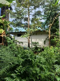 Lake side garden house - 9