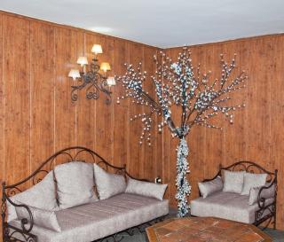 Hotel Reino Nevado - 4