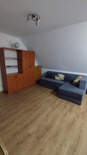 Leśny Dworek - Apartamenty SUPER z TV i salonem kominkowym - 8