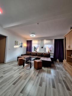 Nicholas Apartment-Thuringer Wald - 3
