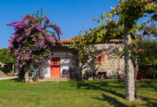 1720 Quinta da Cancela - Winery & Farmhouse - Guimarães - 4